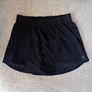 Aritzia Skort